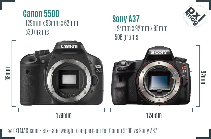 Canon 550D vs Sony A37 size comparison