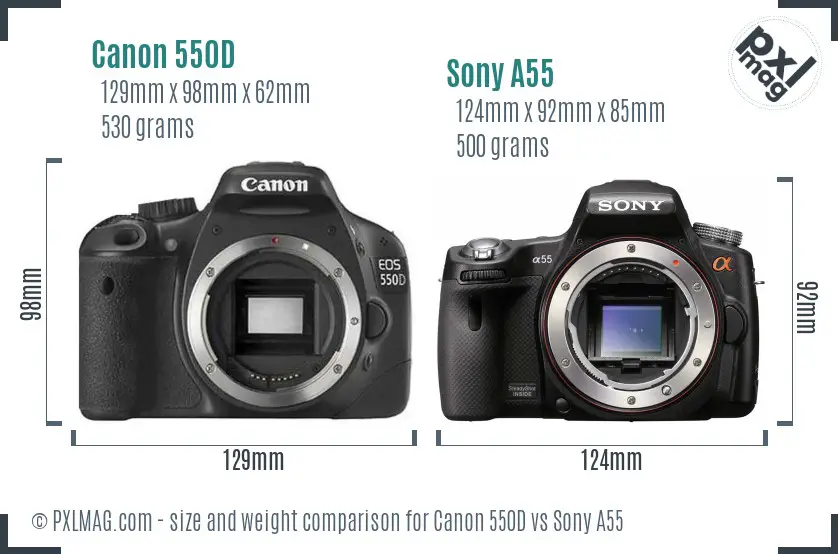 Canon 550D vs Sony A55 size comparison