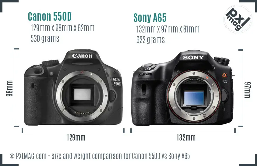 Canon 550D vs Sony A65 size comparison