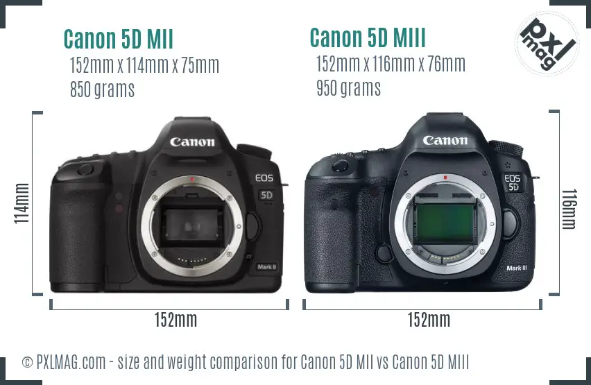 Canon 5D MII vs Canon 5D MIII size comparison