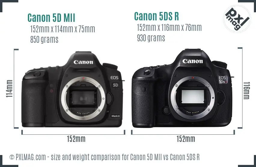 Canon 5D MII vs Canon 5DS R size comparison