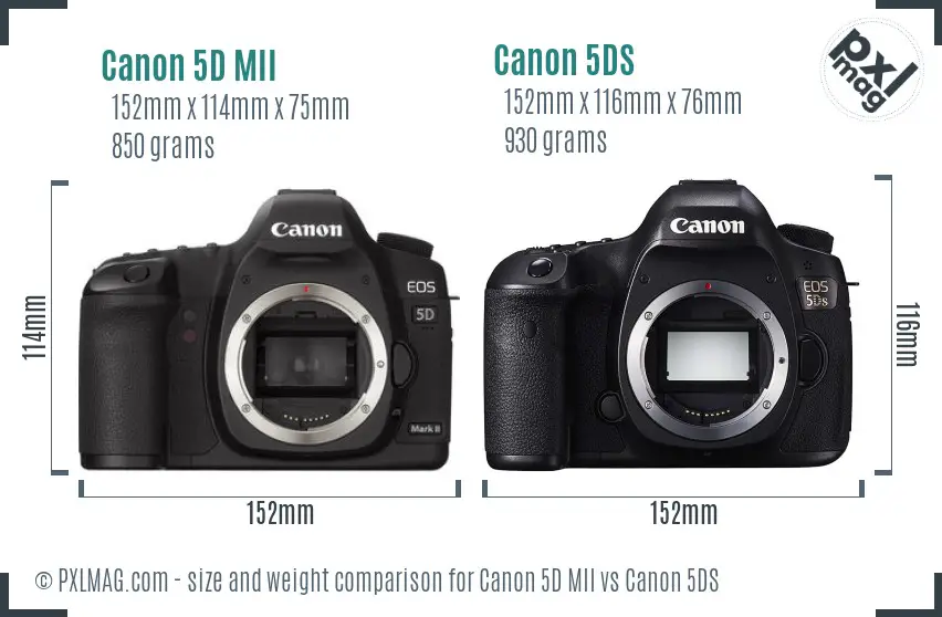 Canon 5D MII vs Canon 5DS size comparison