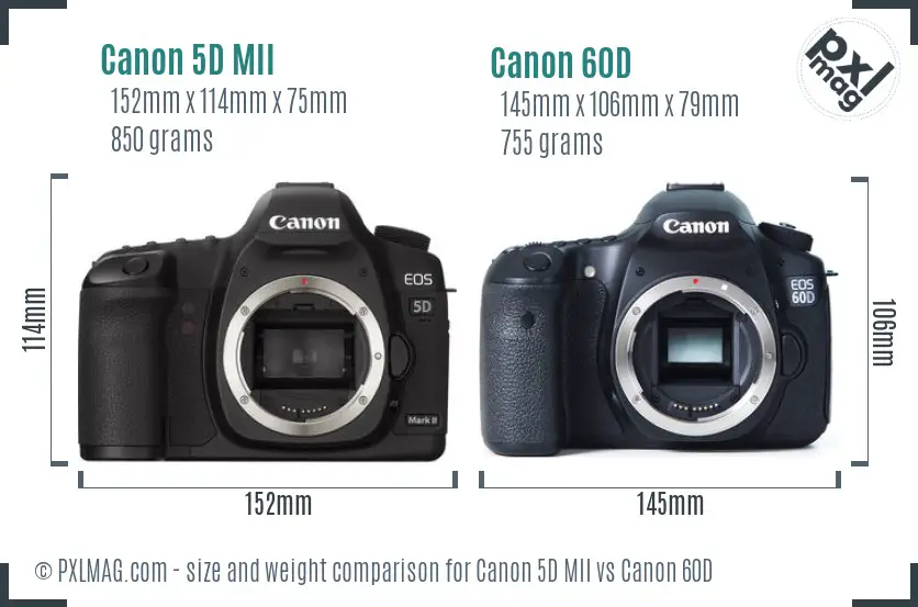Canon 5D MII vs Canon 60D size comparison