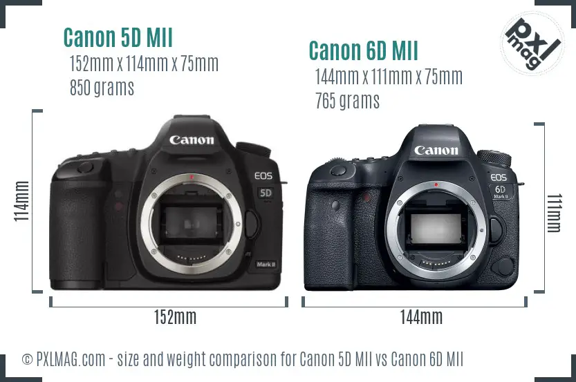 Canon 5D MII vs Canon 6D MII size comparison