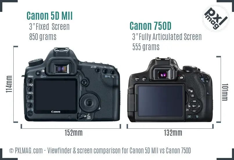 Canon 5D MII vs Canon 750D Screen and Viewfinder comparison