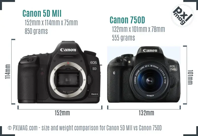 Canon 5D MII vs Canon 750D size comparison