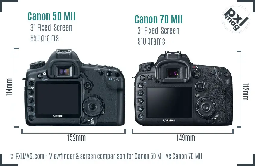 Canon 5D MII vs Canon 7D MII Screen and Viewfinder comparison