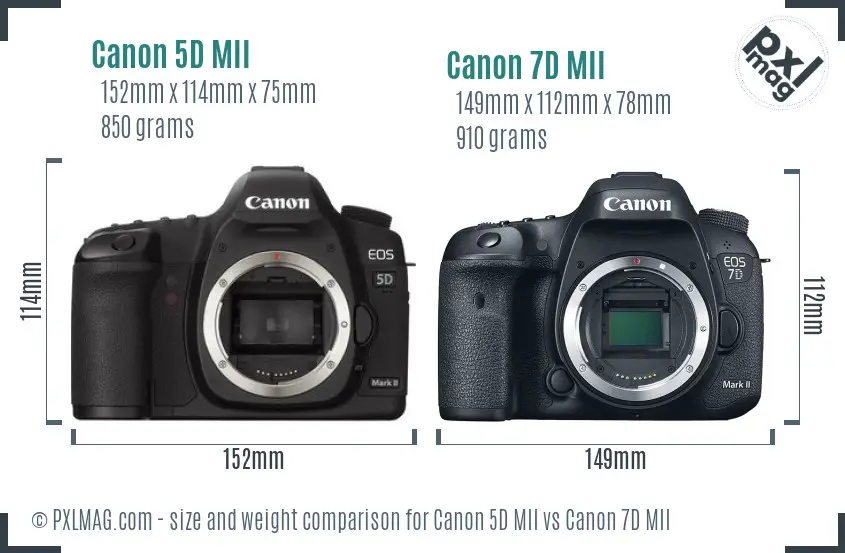 Canon 5D MII vs Canon 7D MII size comparison