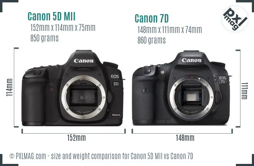 Canon 5D MII vs Canon 7D size comparison