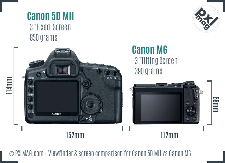 Canon 5D MII vs Canon M6 Screen and Viewfinder comparison
