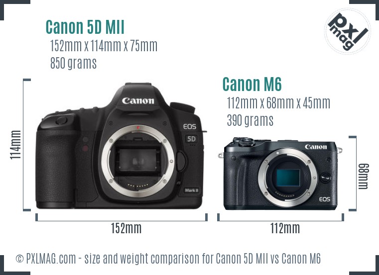 Canon 5D MII vs Canon M6 size comparison