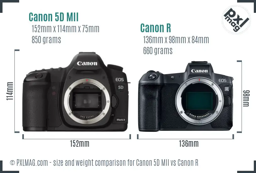 Canon 5D MII vs Canon R size comparison
