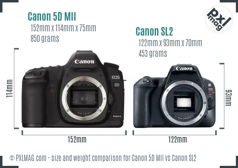 Canon 5D MII vs Canon SL2 size comparison