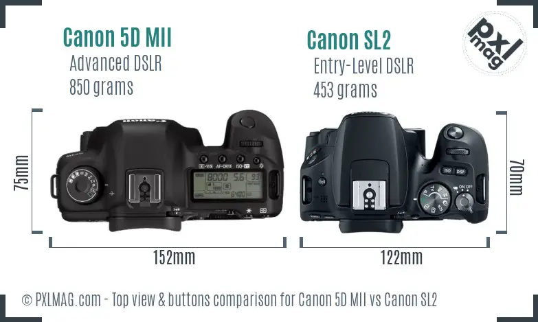 Canon 5D MII vs Canon SL2 top view buttons comparison