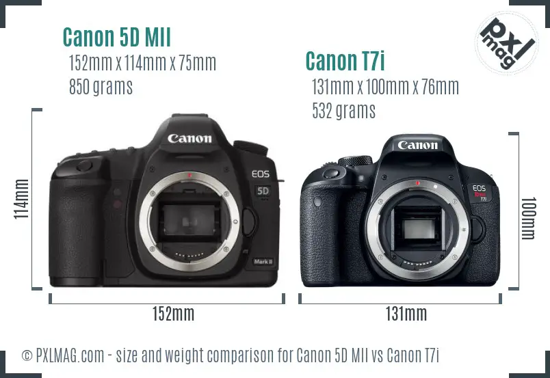 Canon 5D MII vs Canon T7i size comparison