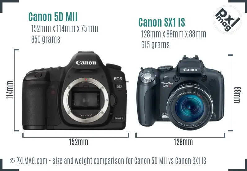 Canon 5D MII vs Canon SX1 IS size comparison Canon 5D MII vs Canon SX1 IS size comparison