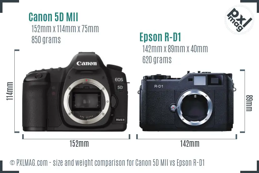 Canon 5D MII vs Epson R-D1 size comparison