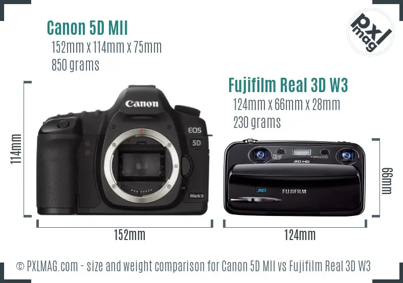 Canon 5D MII vs Fujifilm Real 3D W3 size comparison Canon 5D MII vs Fujifilm Real 3D W3 size comparison