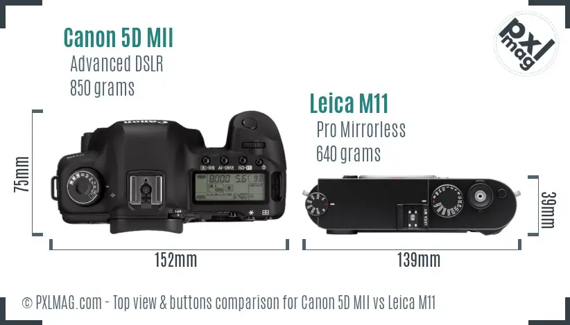 Canon 5D MII vs Leica M11 top view buttons comparison Canon 5D MII vs Leica M11 top view buttons comparison