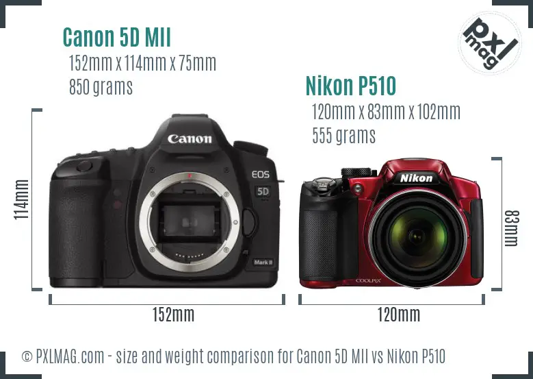 Canon 5D MII vs Nikon P510 size comparison