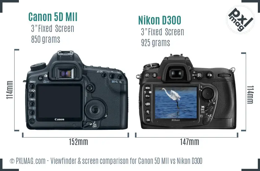 Canon 5D MII vs Nikon D300 Screen and Viewfinder comparison