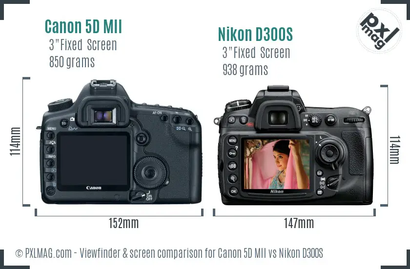 Canon 5D MII vs Nikon D300S Screen and Viewfinder comparison