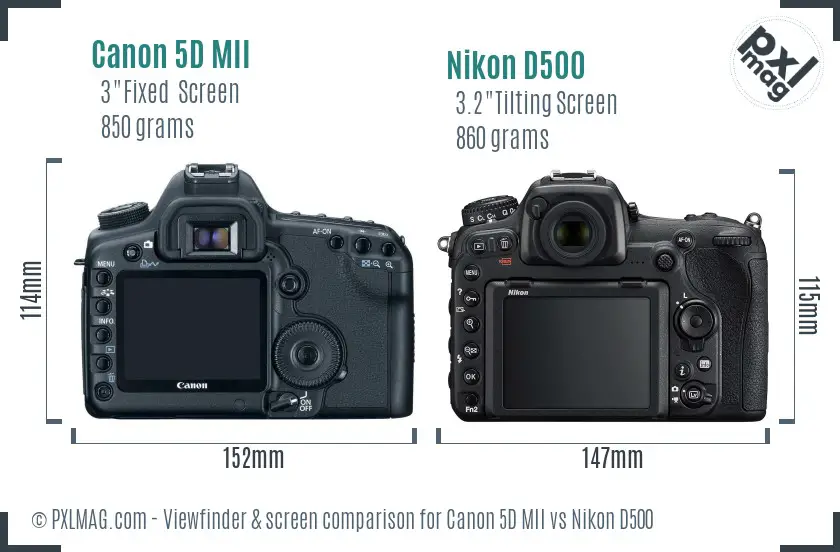 Canon 5D MII vs Nikon D500 Screen and Viewfinder comparison
