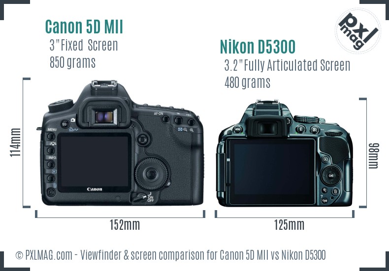 Canon 5D MII vs Nikon D5300 Screen and Viewfinder comparison