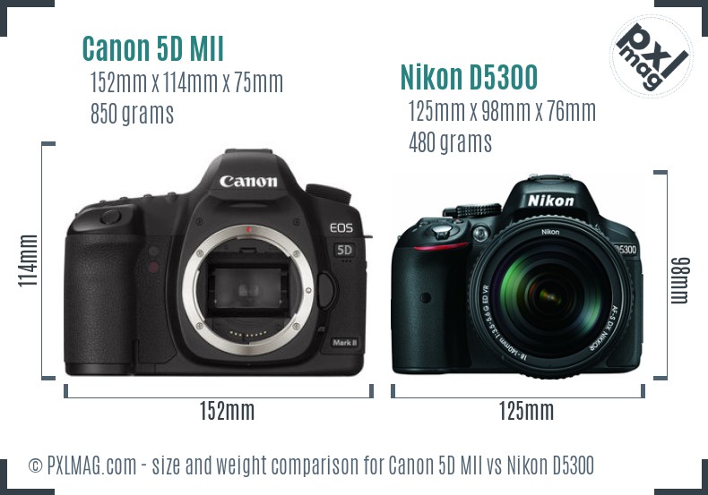 Canon 5D MII vs Nikon D5300 size comparison