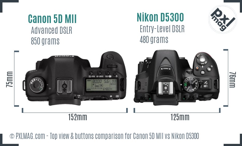 Canon 5D MII vs Nikon D5300 top view buttons comparison