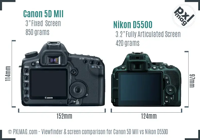 Canon 5D MII vs Nikon D5500 Screen and Viewfinder comparison