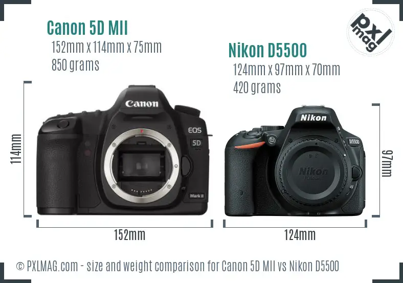 Canon 5D MII vs Nikon D5500 size comparison