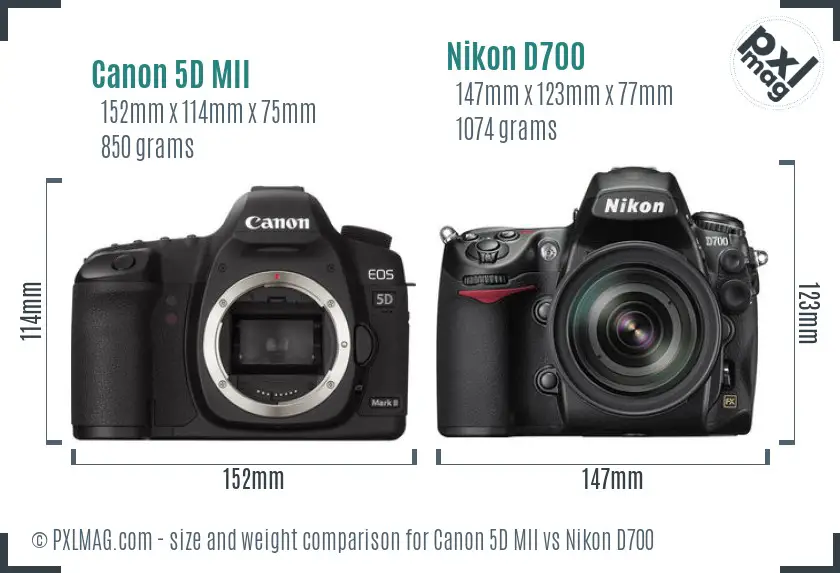 Canon 5D MII vs Nikon D700 size comparison