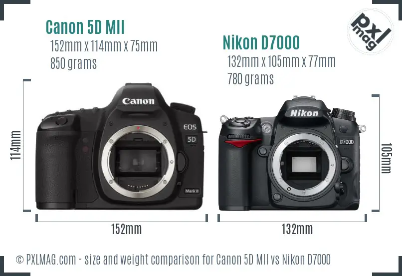 Canon 5D MII vs Nikon D7000 size comparison
