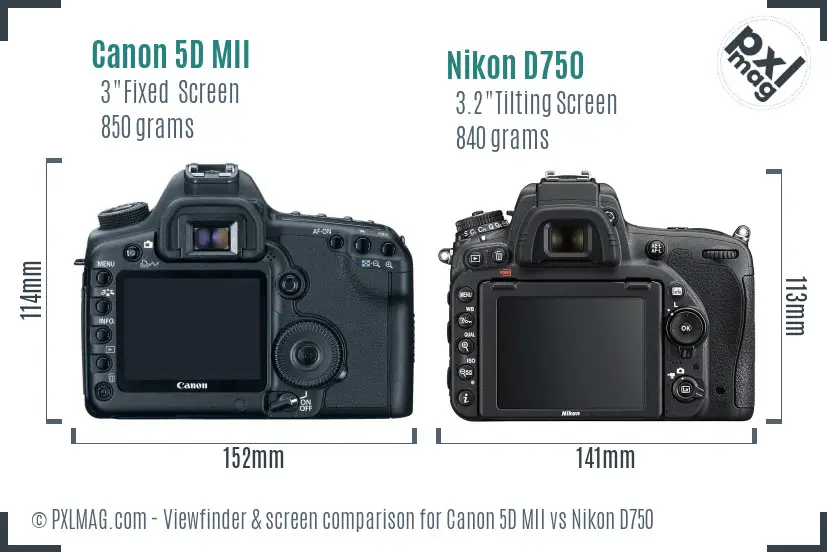 Canon 5D MII vs Nikon D750 Screen and Viewfinder comparison