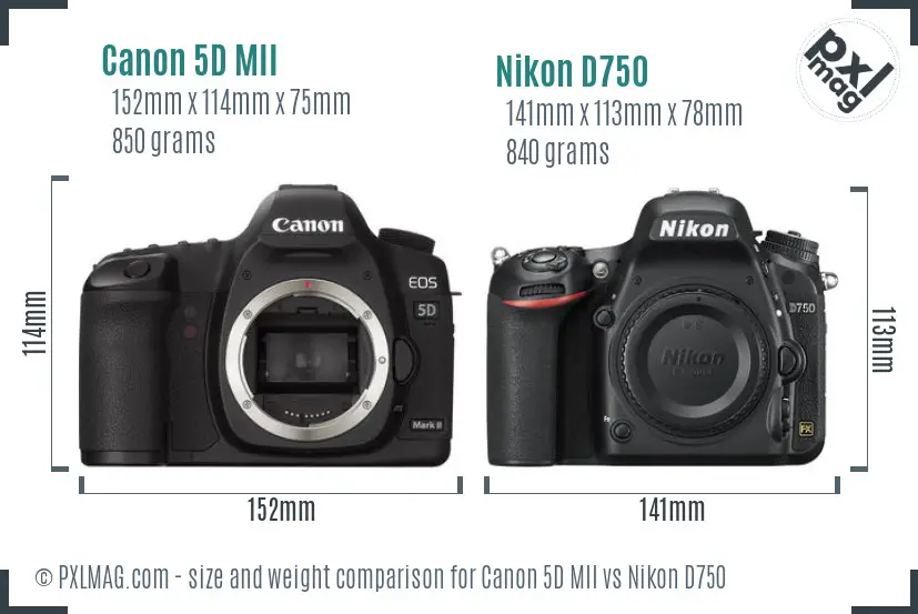 Canon 5D MII vs Nikon D750 size comparison
