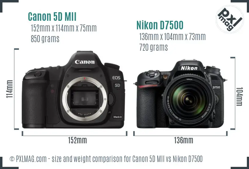 Canon 5D MII vs Nikon D7500 size comparison