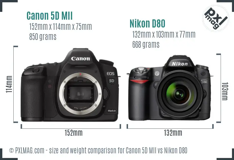 Canon 5D MII vs Nikon D80 size comparison