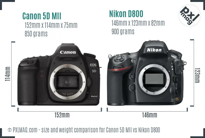 Canon 5D MII vs Nikon D800 size comparison
