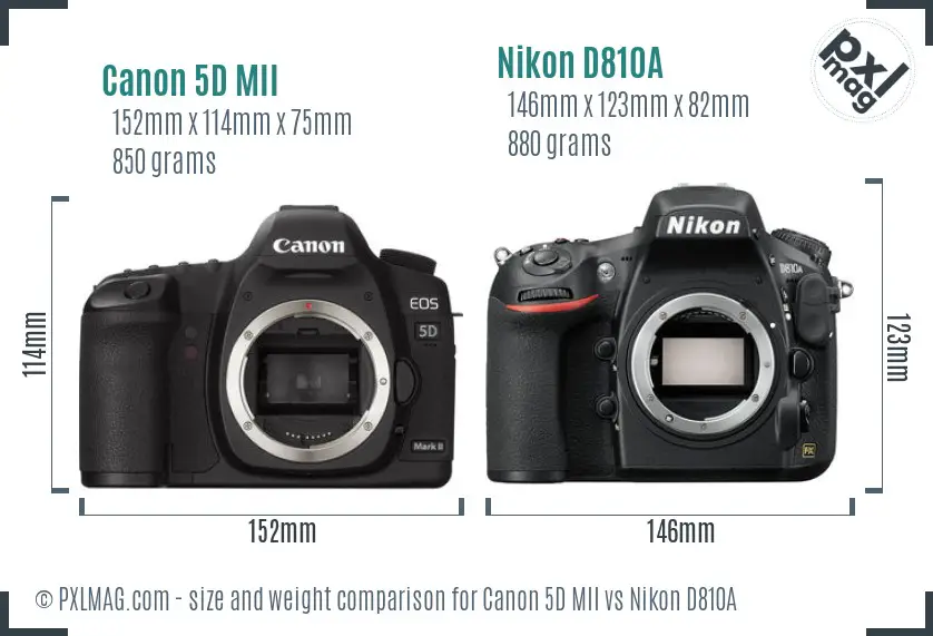 Canon 5D MII vs Nikon D810A size comparison