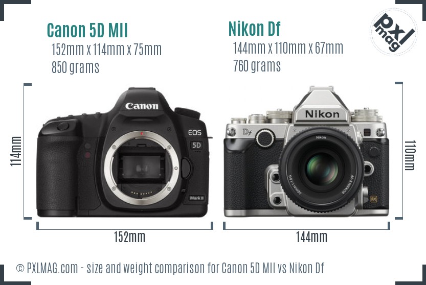 Canon 5D MII vs Nikon Df size comparison