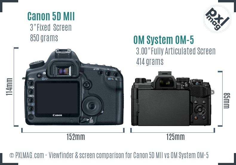 Canon 5D MII vs OM System OM-5 Screen and Viewfinder comparison