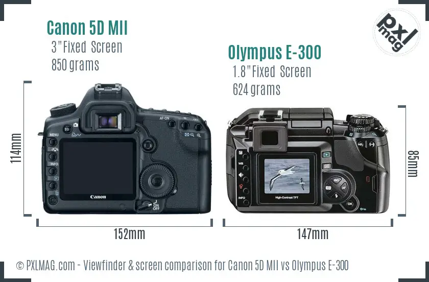 Canon 5D MII vs Olympus E-300 Screen and Viewfinder comparison