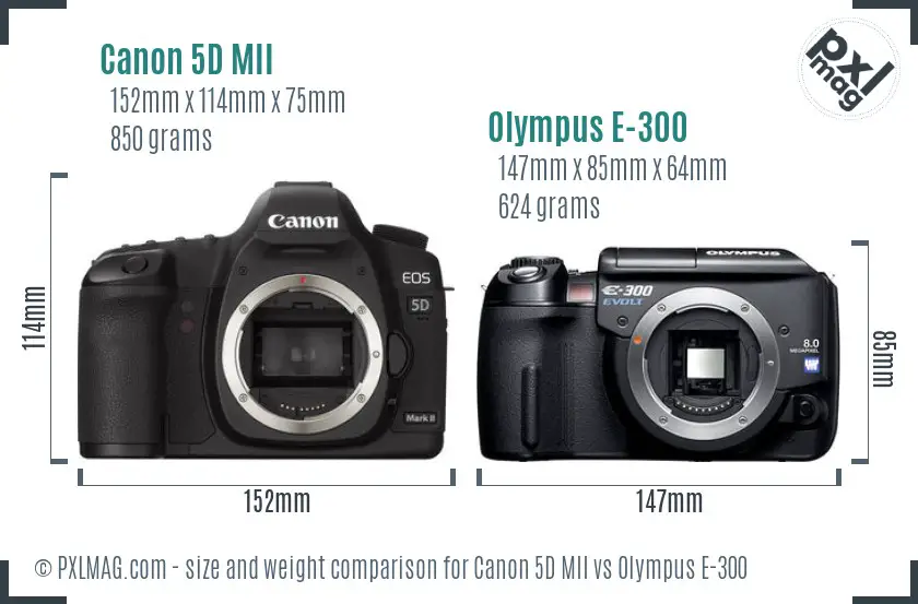 Canon 5D MII vs Olympus E-300 size comparison