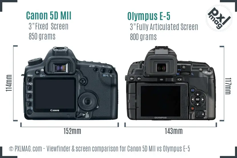 Canon 5D MII vs Olympus E-5 Screen and Viewfinder comparison