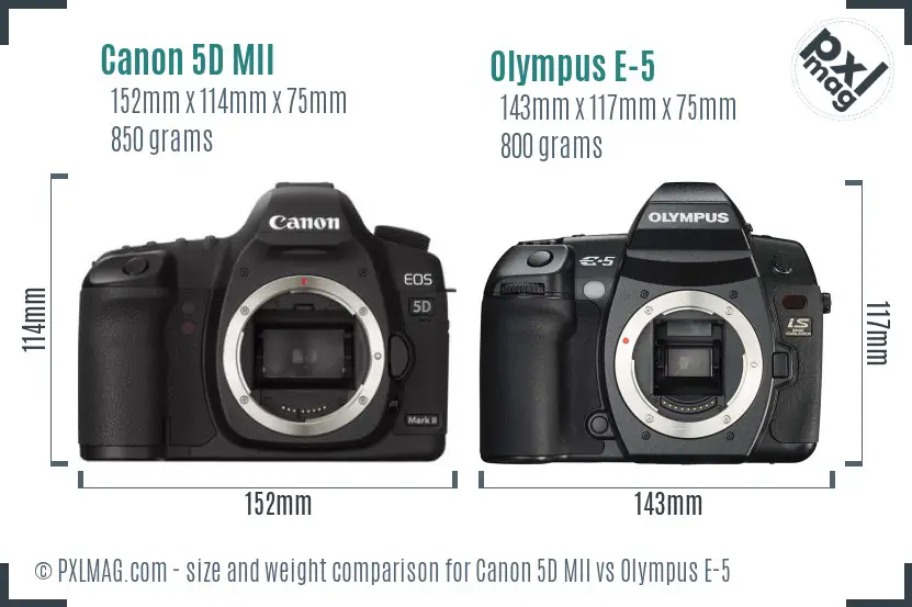 Canon 5D MII vs Olympus E-5 size comparison