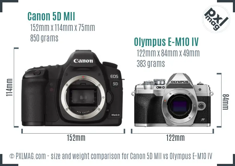 Canon 5D MII vs Olympus E-M10 IV size comparison