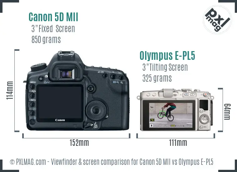 Canon 5D MII vs Olympus E-PL5 Screen and Viewfinder comparison