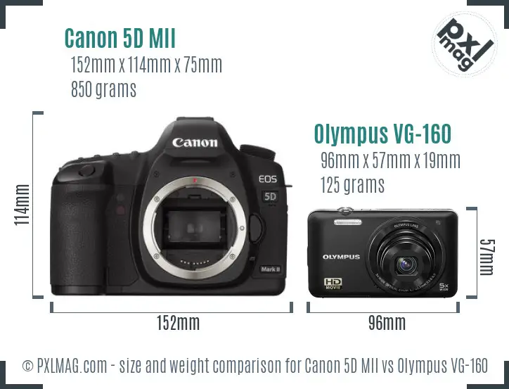 Canon 5D MII vs Olympus VG-160 size comparison