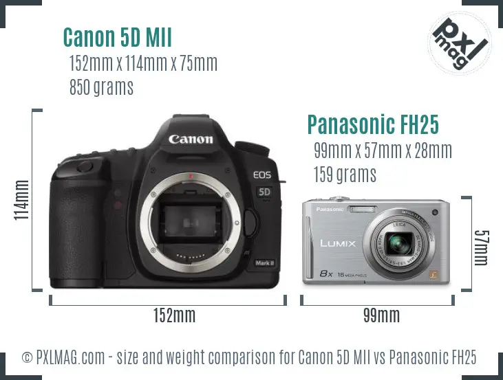 Canon 5D MII vs Panasonic FH25 size comparison